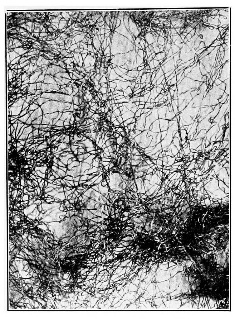 An illustration from The lead and zinc pigments, 1909, leaf 51
