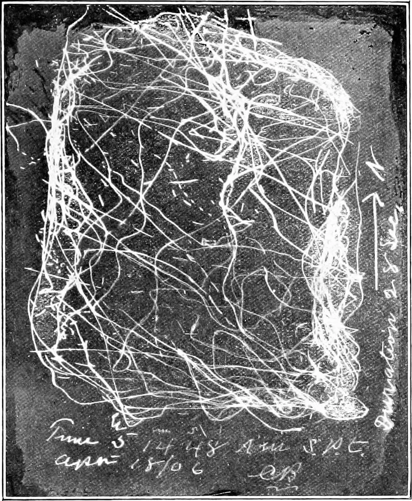 An illustration from The San Francisco earthquake and fire; a brief history of the disaster; a presentation of facts and resulting phenomena, with special reference to the efficiency of building materials, lessons of the disaster, 1906, leaf 17