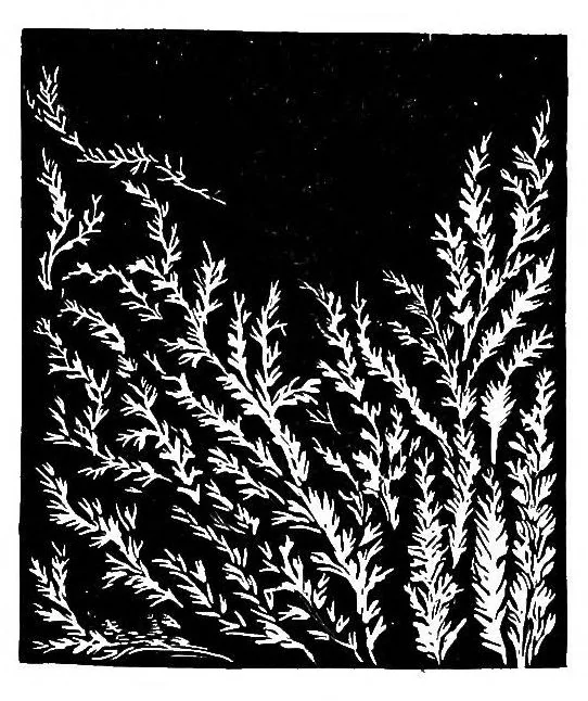 An illustration from The seven follies of science; a popular account of the most famous scientific impossibilities and the attempts which have been made to solve them. To which is added a small budget of interesting paradoxes, illusions, and marvels, 1906, leaf 120