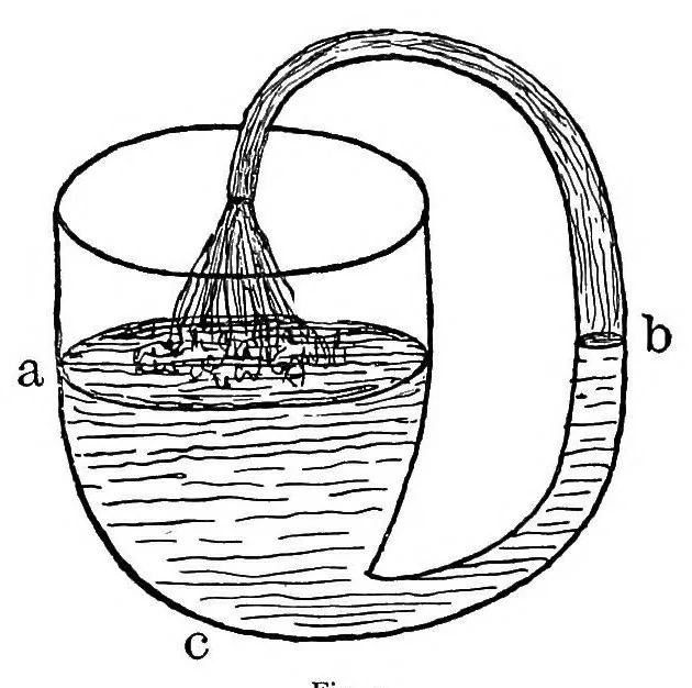 An illustration from The seven follies of science; a popular account of the most famous scientific impossibilities and the attempts which have been made to solve them. To which is added a small budget of interesting paradoxes, illusions, and marvels, 1906, leaf 58