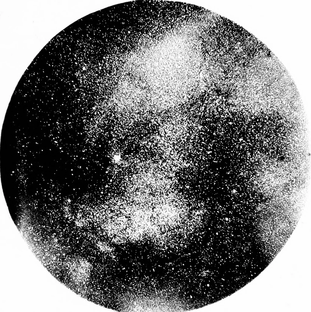 An illustration from The visible universe; chapters on the origin and construction of the heavens, 1892, leaf 220