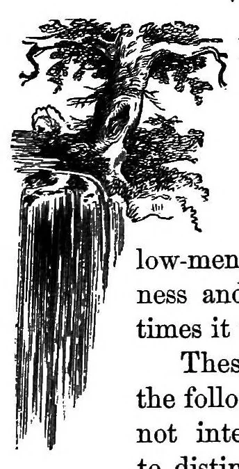 An illustration from Fifty years in the magic circle; being an account of the author's professional life; his wonderful tricks and feats; with laughable incidents, and adventures as a magician, necromancer, and ventriloquist, 1871, leaf 119