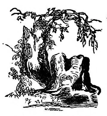An illustration from Fifty years in the magic circle; being an account of the author's professional life; his wonderful tricks and feats; with laughable incidents, and adventures as a magician, necromancer, and ventriloquist, 1871, leaf 205