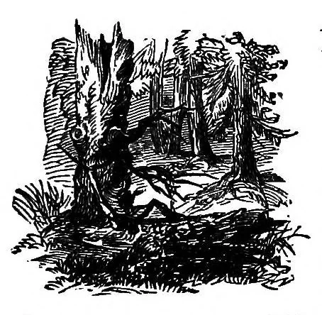 An illustration from Fifty years in the magic circle; being an account of the author's professional life; his wonderful tricks and feats; with laughable incidents, and adventures as a magician, necromancer, and ventriloquist, 1871, leaf 32