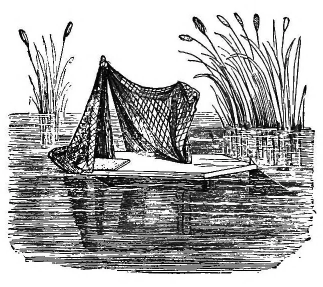 An illustration from Fifty years in the magic circle; being an account of the author's professional life; his wonderful tricks and feats; with laughable incidents, and adventures as a magician, necromancer, and ventriloquist, 1871, leaf 363