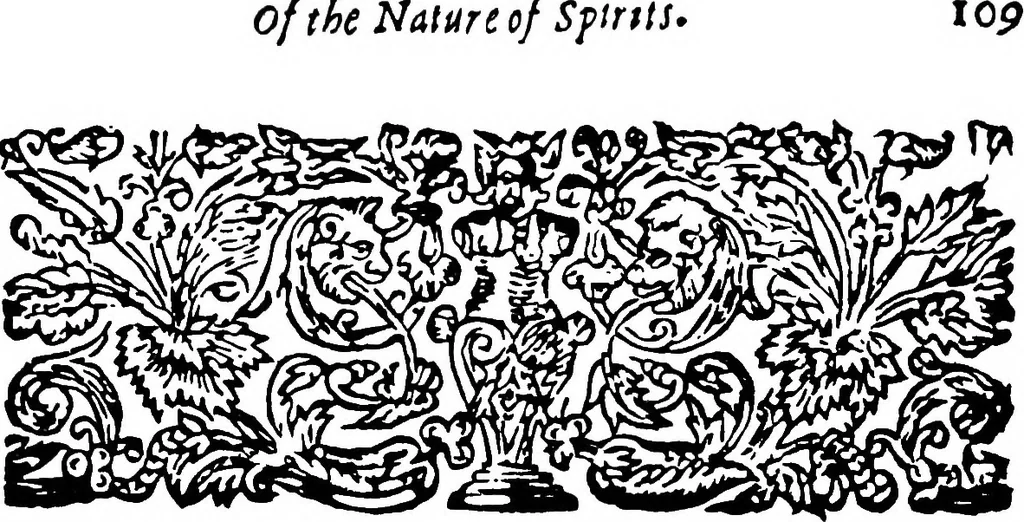 An illustration from Henry Cornelius Agrippa's Fourth book of occult philosophy, and geomancy. Magical elements of Peter de Abano. Astronomical geomancy [by Gerardus Cremonensis]. The nature of spirits [by Gorg Pictorius]. And arbatel of magic, 1655, leaf 146