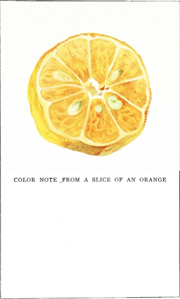 An illustration from Color problems : a practical manual for the lay student of color, 1902, leaf 372