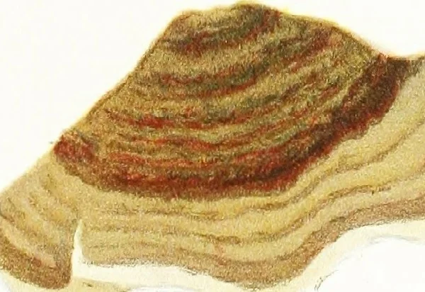 An illustration from Color problems : a practical manual for the lay student of color, 1902, leaf 386