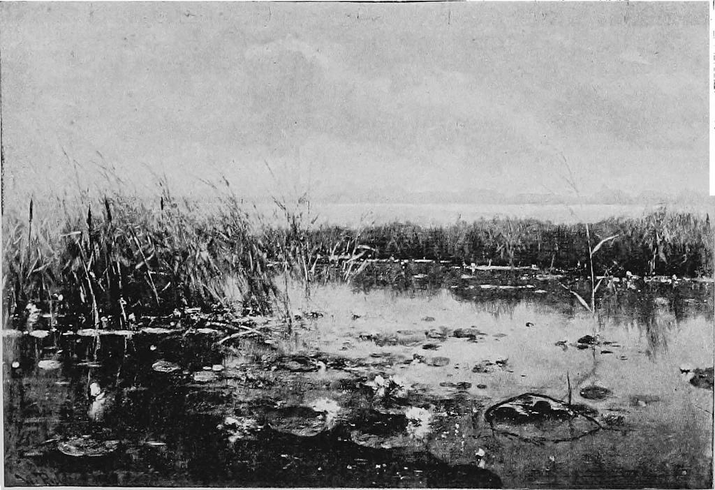 An illustration from Dutch painters of the nineteenth century. With biographical notices, 1898, leaf 114