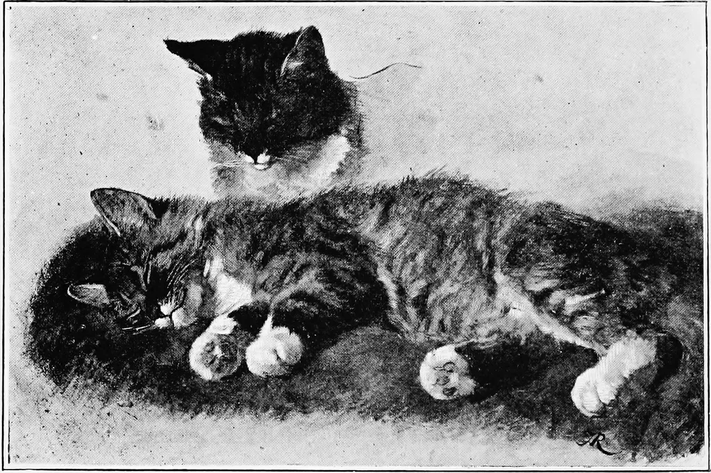 An illustration from Dutch painters of the nineteenth century. With biographical notices, 1898, leaf 153