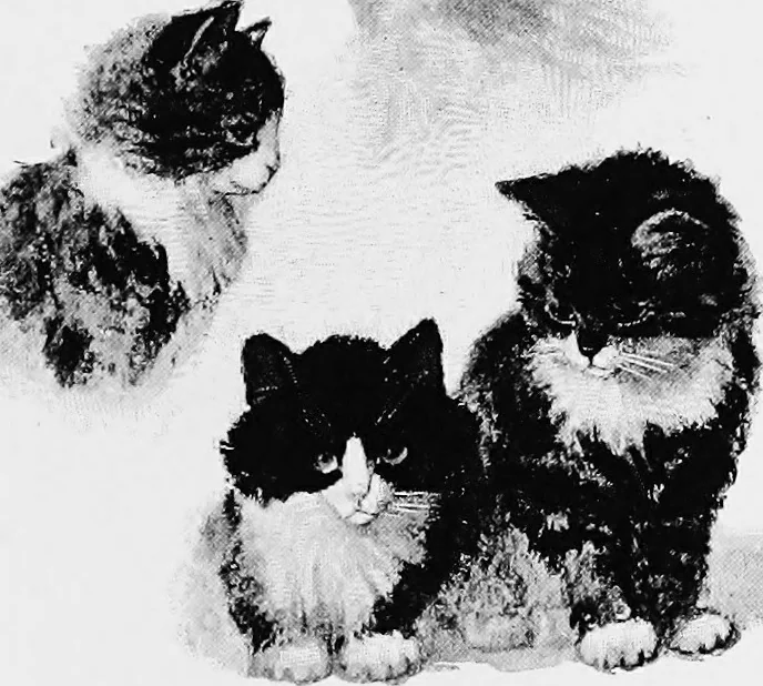 An illustration from Dutch painters of the nineteenth century. With biographical notices, 1898, leaf 154