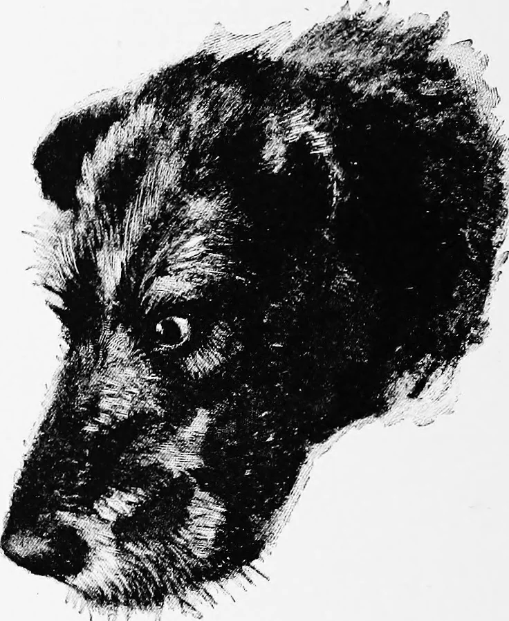 An illustration from Dutch painters of the nineteenth century. With biographical notices, 1898, leaf 157
