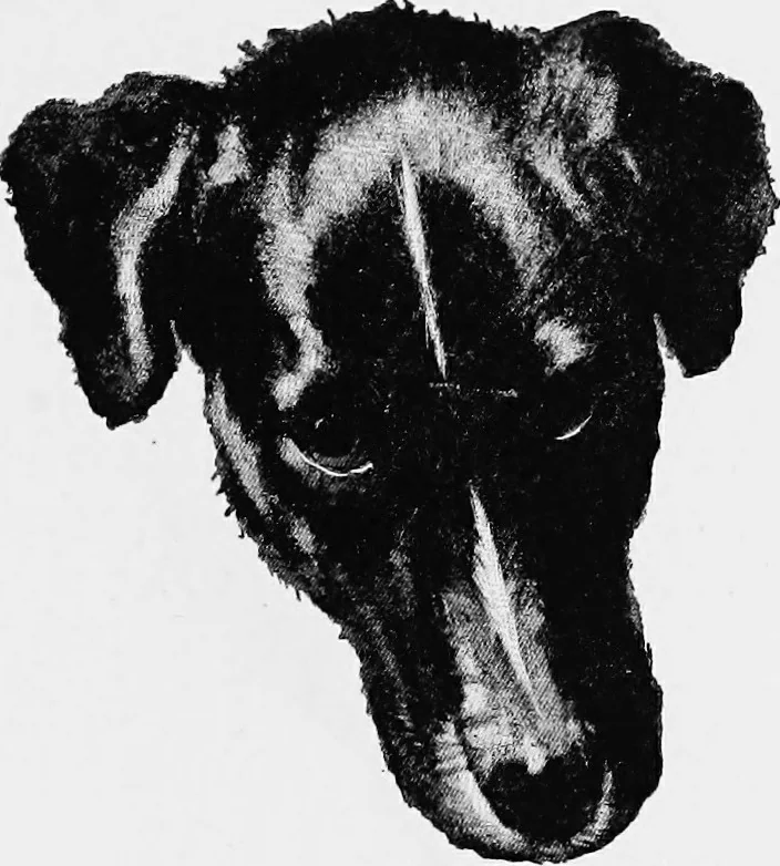 An illustration from Dutch painters of the nineteenth century. With biographical notices, 1898, leaf 158