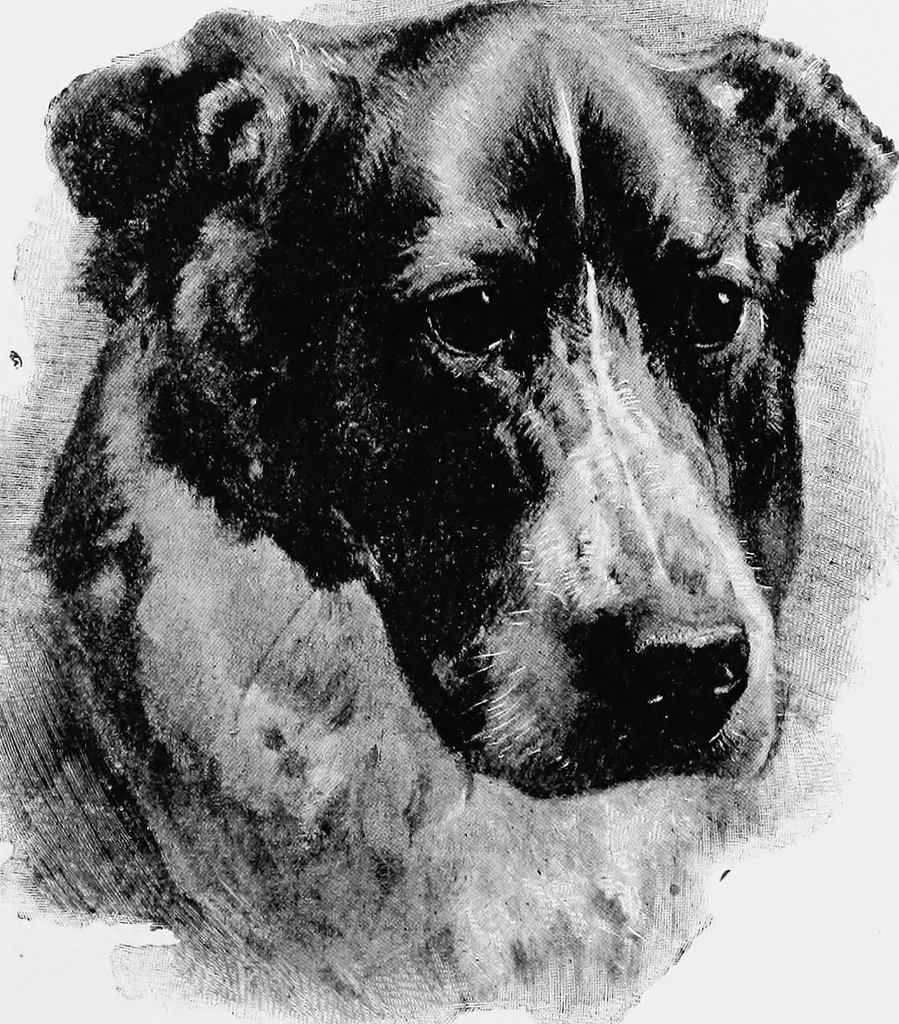 An illustration from Dutch painters of the nineteenth century. With biographical notices, 1898, leaf 158