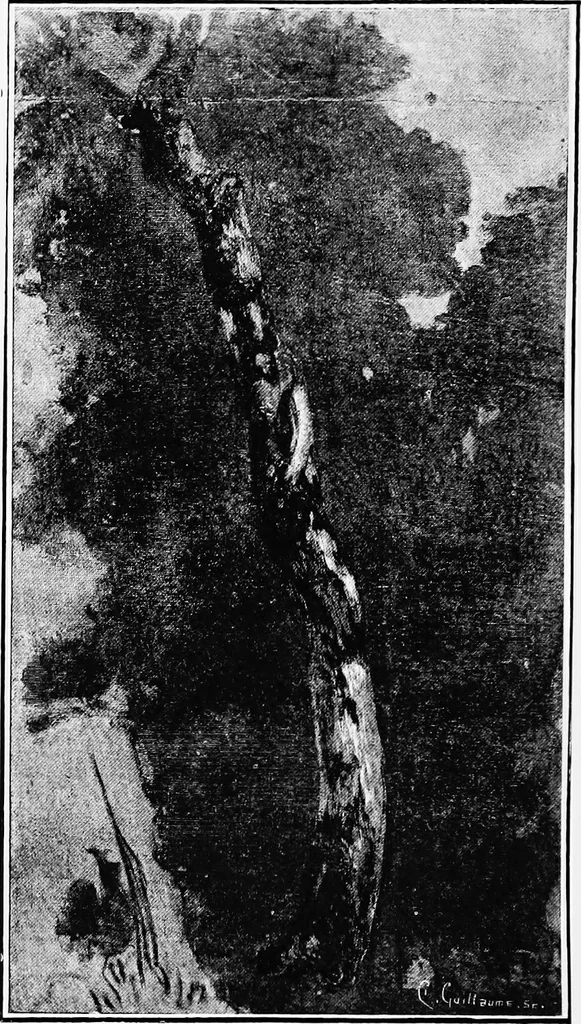 An illustration from Dutch painters of the nineteenth century. With biographical notices, 1898, leaf 289