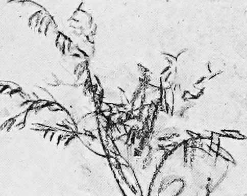 An illustration from Dutch painters of the nineteenth century. With biographical notices, 1898, leaf 306
