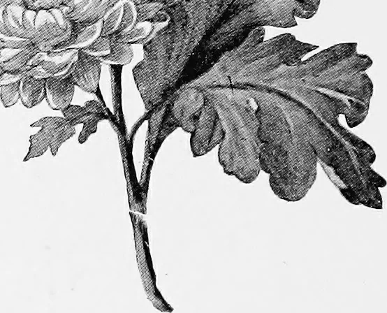 An illustration from Dutch painters of the nineteenth century. With biographical notices, 1898, leaf 319