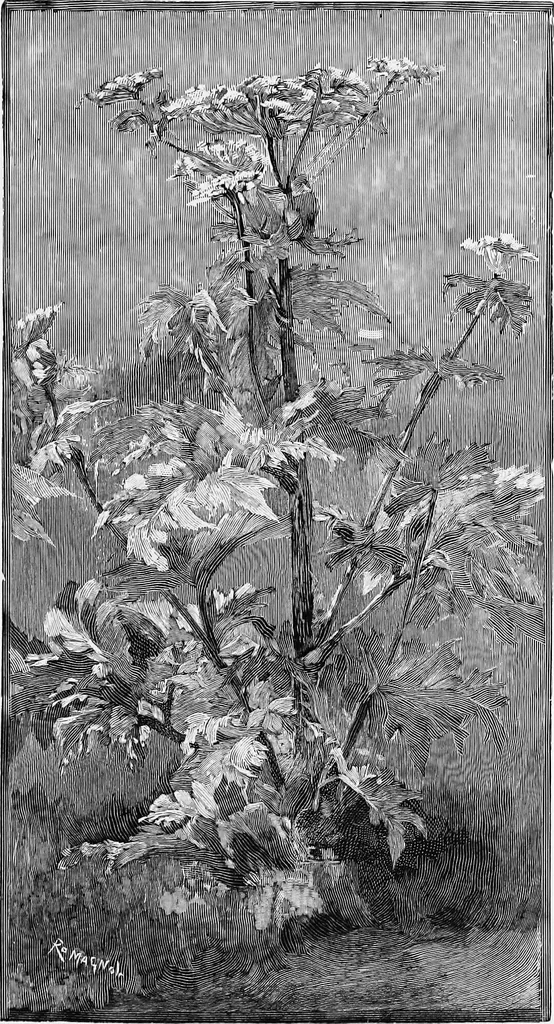 An illustration from Dutch painters of the nineteenth century. With biographical notices, 1898, leaf 322
