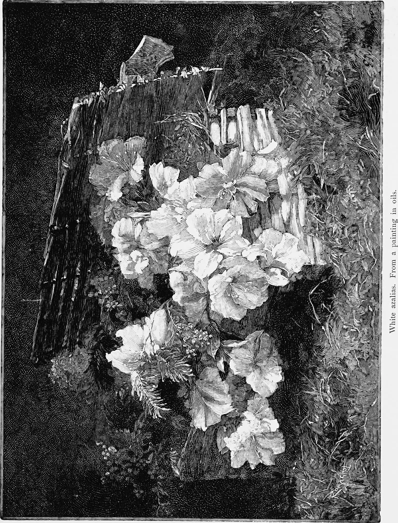 An illustration from Dutch painters of the nineteenth century. With biographical notices, 1898, leaf 324