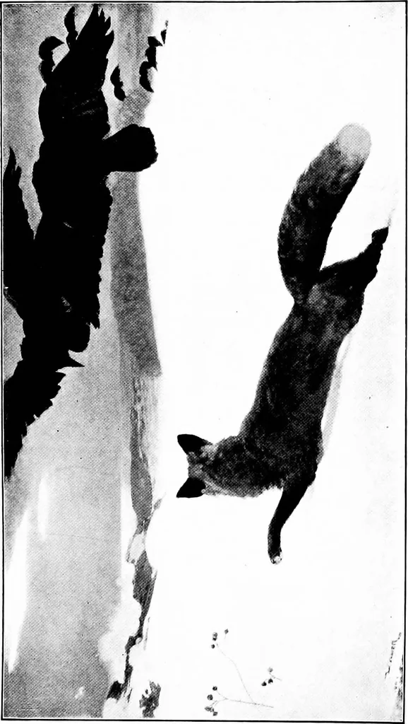 An illustration from Studies in pictures; an introduction to the famous galleries, 1907, leaf 214
