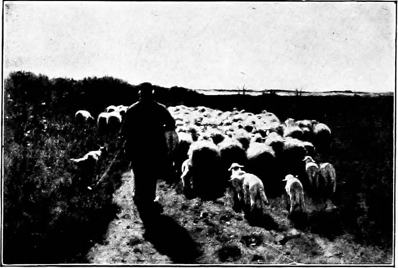 An illustration from Pictures and their painters; the history of painting, 1907, leaf 263
