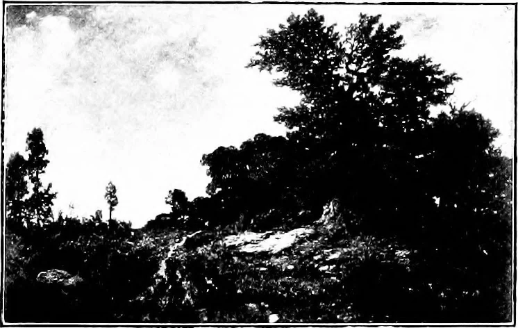 An illustration from Pictures and their painters; the history of painting, 1907, leaf 376