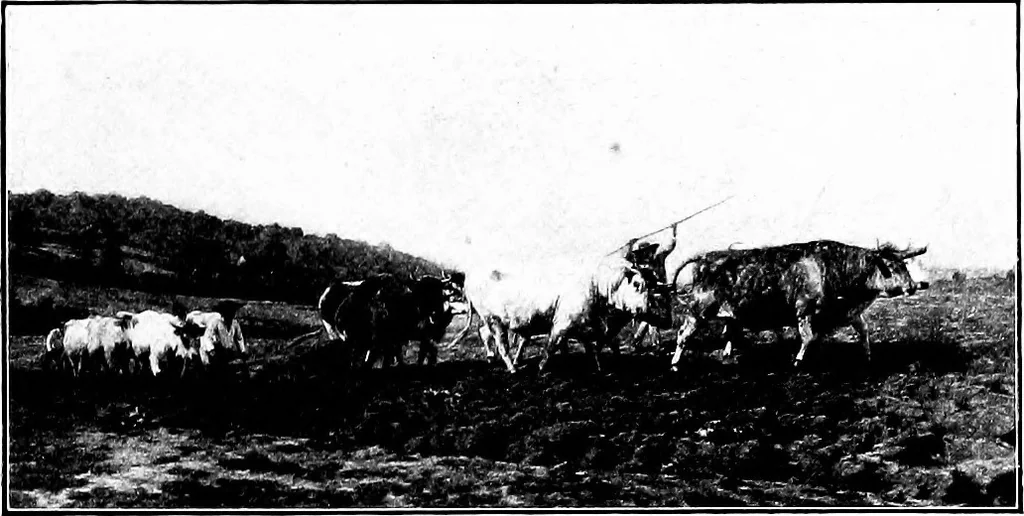 An illustration from Pictures and their painters; the history of painting, 1907, leaf 384