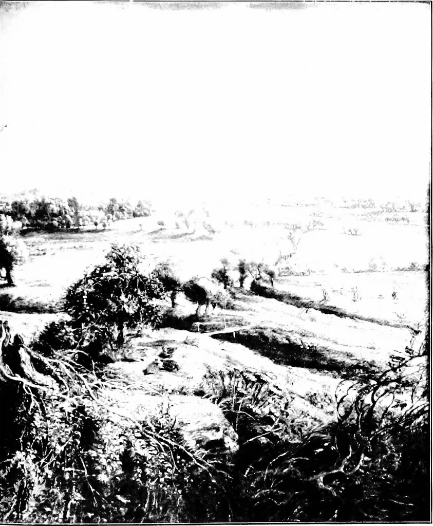 An illustration from Stories of the Flemish & Dutch artists, from the time of the Van Eycks to the end of the seventeenth century, 1908, leaf 210