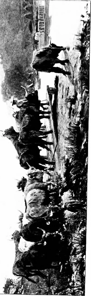 An illustration from Painting in France, after the decline of classicism. An essay, 1901, leaf 128