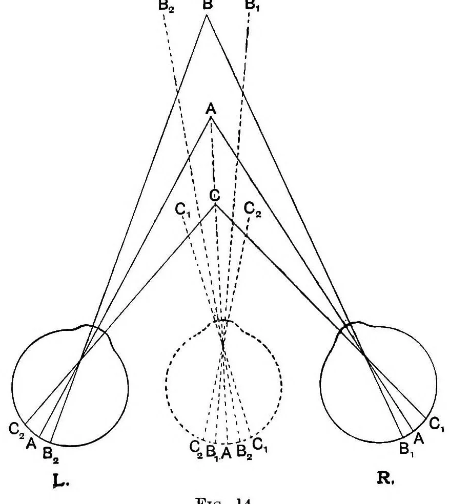 An illustration from The physiology of vision with special reference to colour blindness, 1920, leaf 145