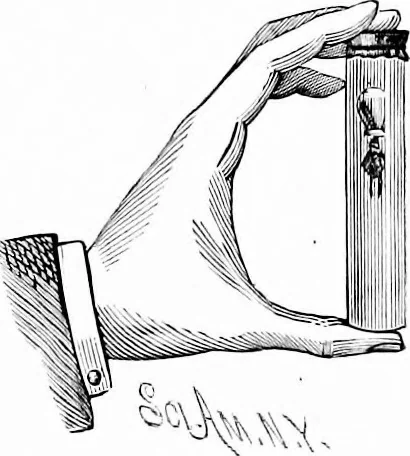 An illustration from Experimental science. Elementary, practical and experimental physics, 1890, leaf 106