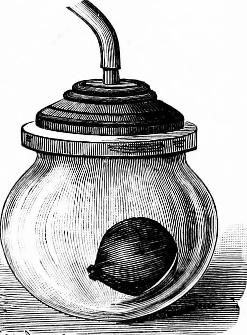 An illustration from Experimental science. Elementary, practical and experimental physics, 1890, leaf 108