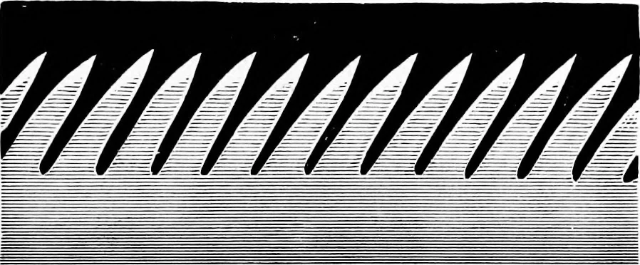 An illustration from Experimental science. Elementary, practical and experimental physics, 1890, leaf 158