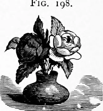 An illustration from Experimental science. Elementary, practical and experimental physics, 1890, leaf 221
