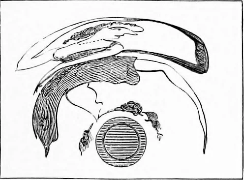 An illustration from Experimental science. Elementary, practical and experimental physics, 1890, leaf 232