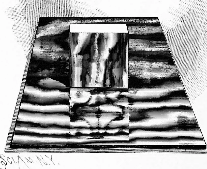 An illustration from Experimental science. Elementary, practical and experimental physics, 1890, leaf 269