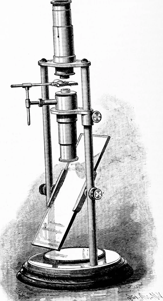 An illustration from Experimental science. Elementary, practical and experimental physics, 1890, leaf 279