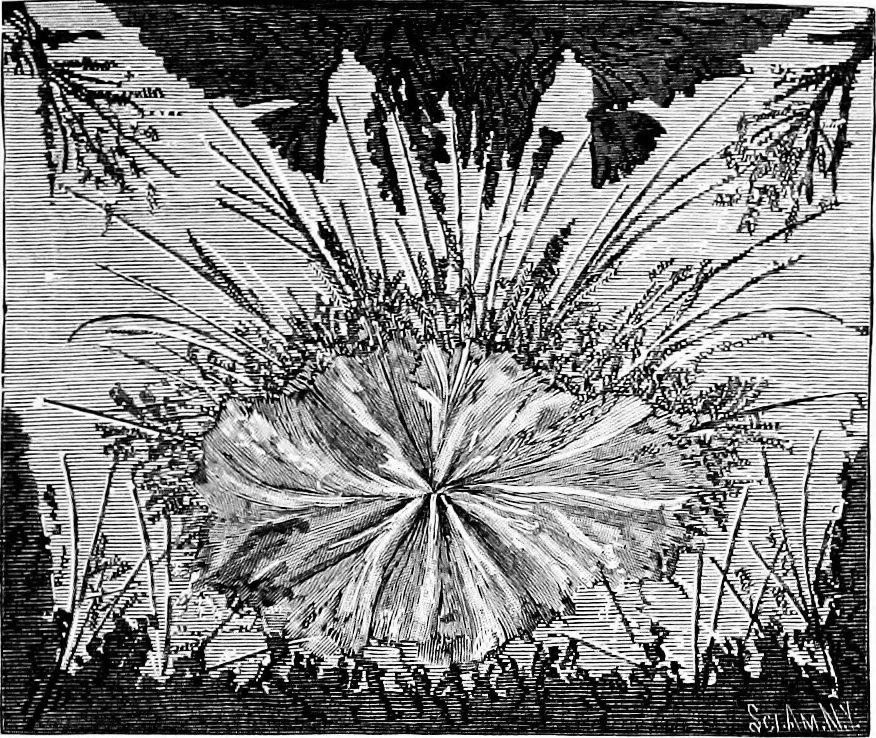 An illustration from Experimental science. Elementary, practical and experimental physics, 1890, leaf 296