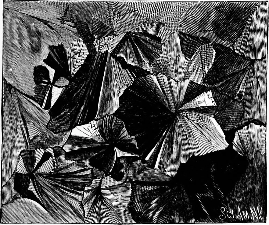 An illustration from Experimental science. Elementary, practical and experimental physics, 1890, leaf 296