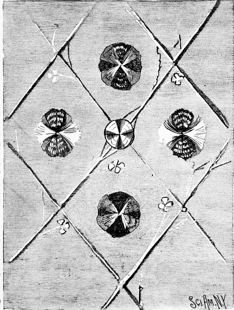 An illustration from Experimental science. Elementary, practical and experimental physics, 1890, leaf 298