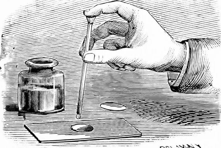 An illustration from Experimental science. Elementary, practical and experimental physics, 1890, leaf 314
