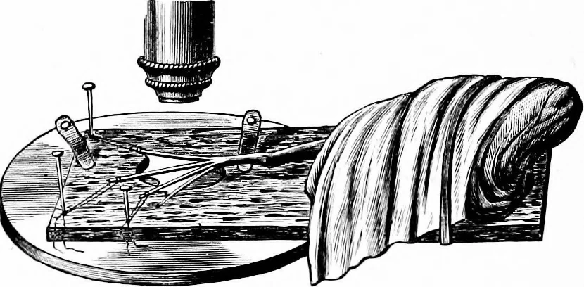 An illustration from Experimental science. Elementary, practical and experimental physics, 1890, leaf 319