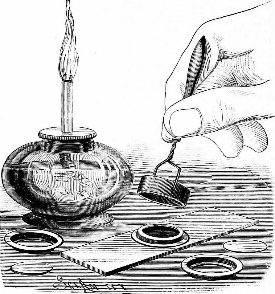 An illustration from Experimental science. Elementary, practical and experimental physics, 1890, leaf 321