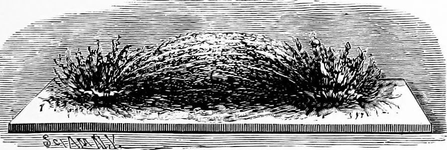 An illustration from Experimental science. Elementary, practical and experimental physics, 1890, leaf 378