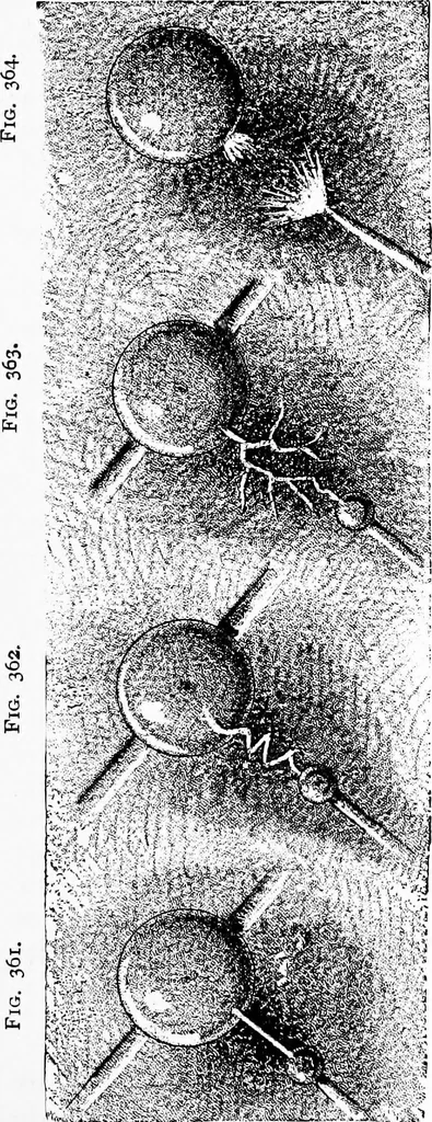 An illustration from Experimental science. Elementary, practical and experimental physics, 1890, leaf 398