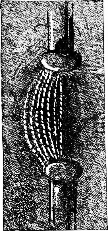 An illustration from Experimental science. Elementary, practical and experimental physics, 1890, leaf 398