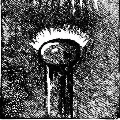An illustration from Experimental science. Elementary, practical and experimental physics, 1890, leaf 398