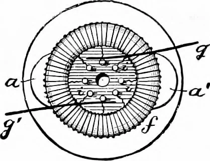 An illustration from Experimental science. Elementary, practical and experimental physics, 1890, leaf 496