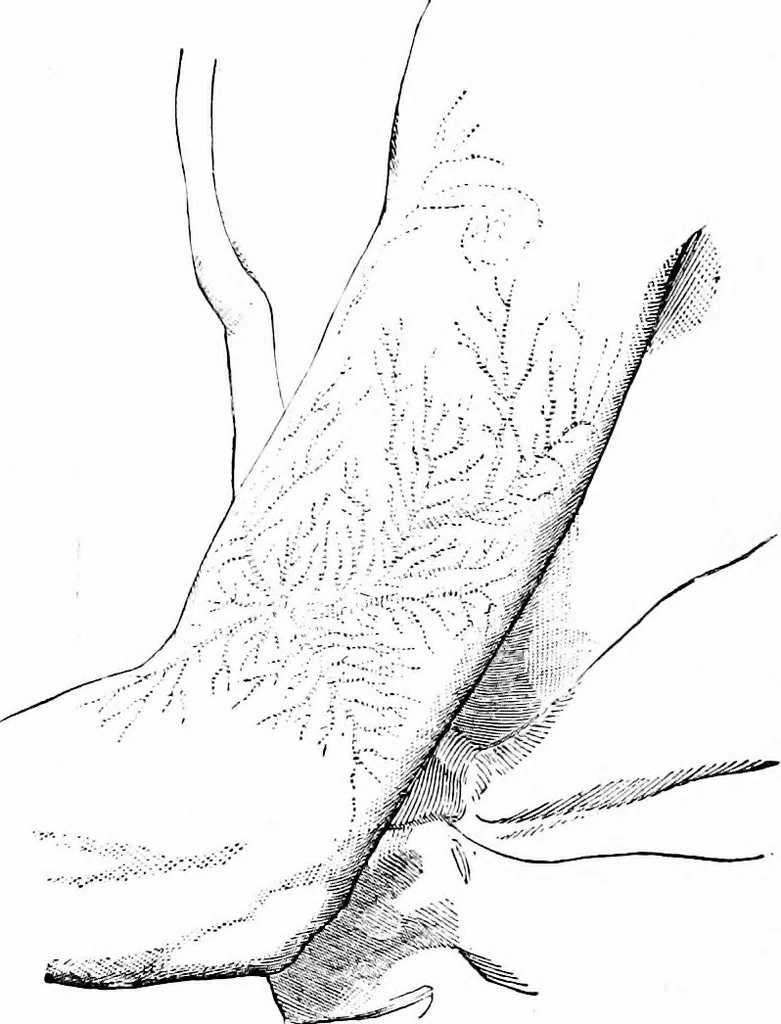 An illustration from Experimental science. Elementary, practical and experimental physics, 1890, leaf 589
