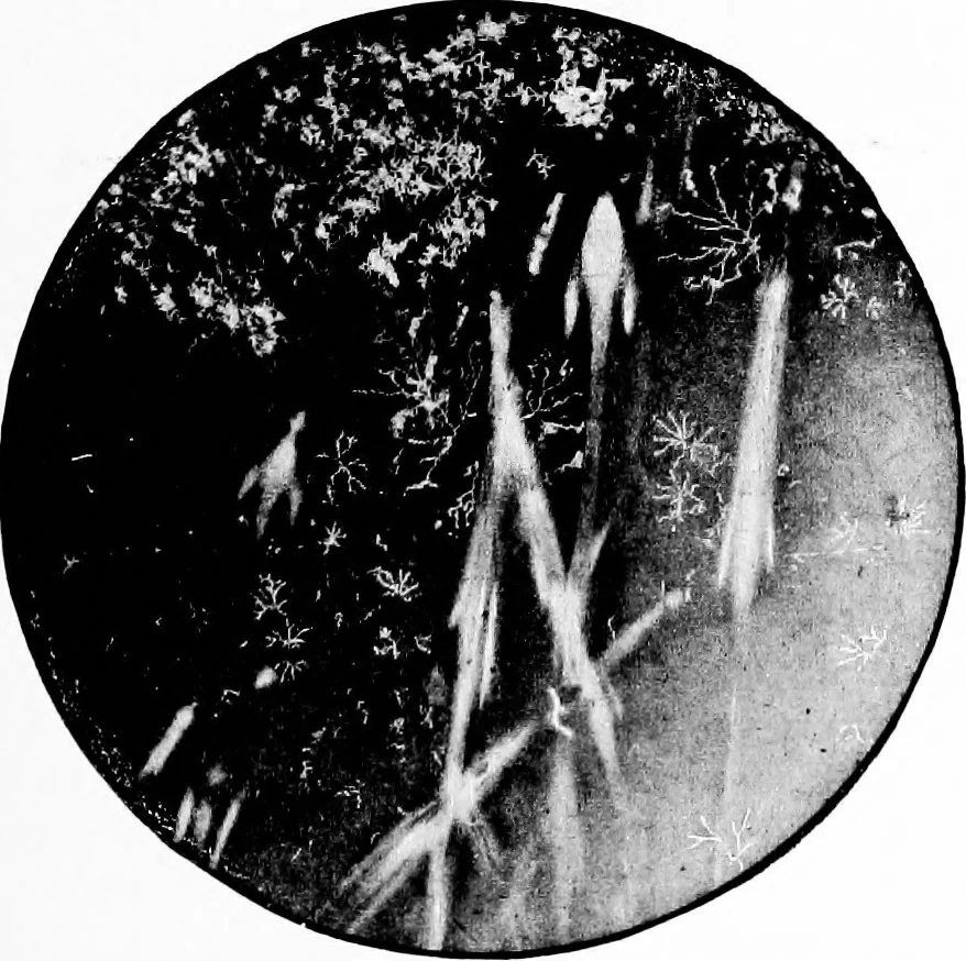 An illustration from Experimental science. Elementary, practical and experimental physics, 1890, leaf 592